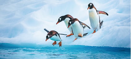 Antarctica